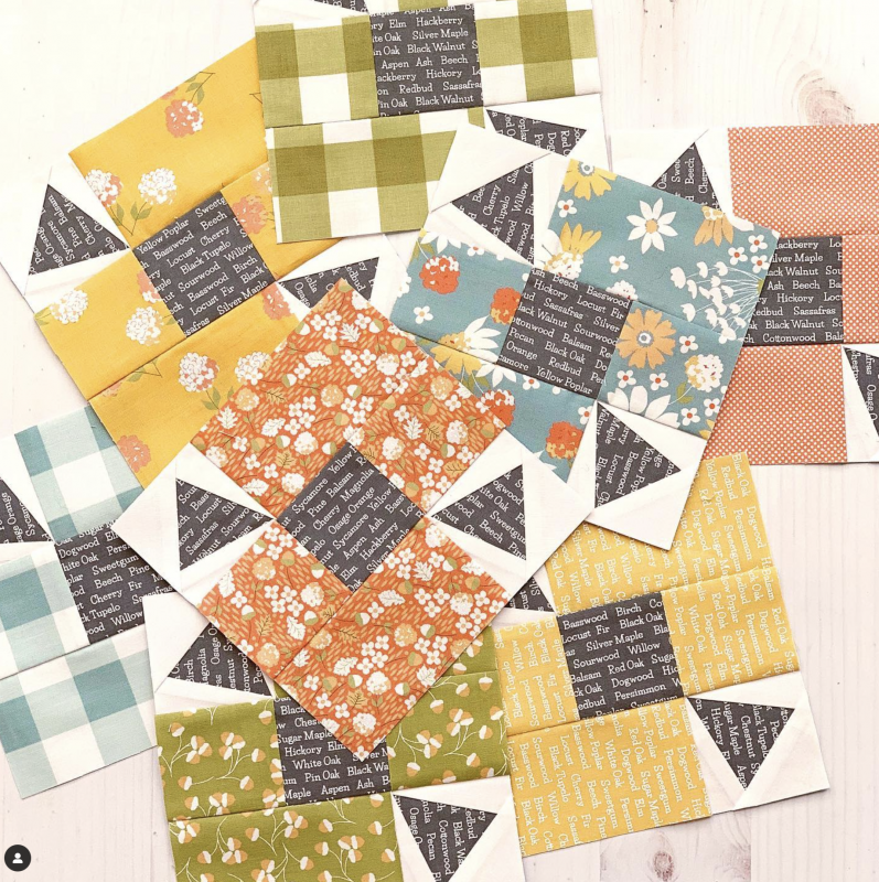 Blocks from You've Got a Point ct_BCF-Anna7