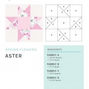large_mbs-spring-flowers_aster_page_1.jpg large_mbs-spring-flowers_aster_page_1.jpg